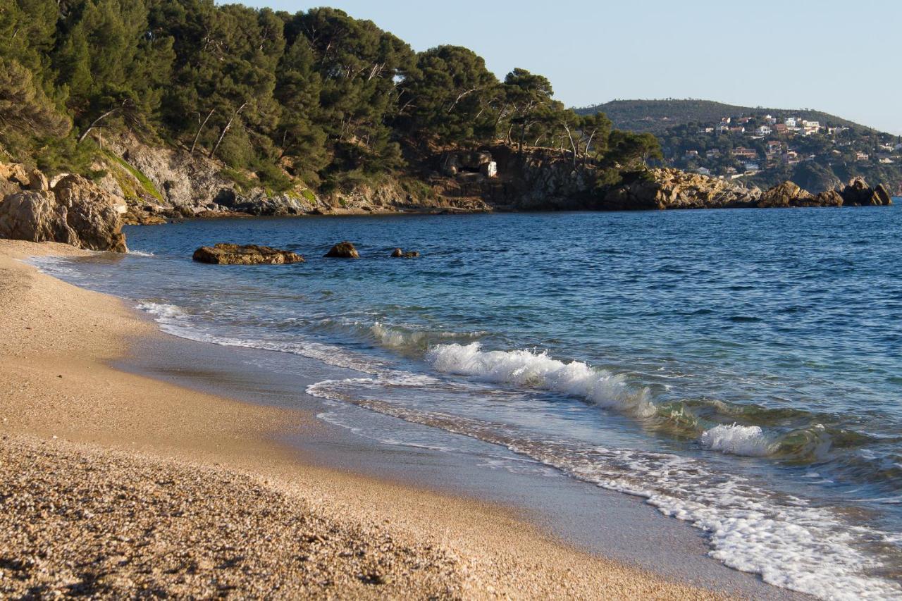 Mer Et Calme Le Pradet Εξωτερικό φωτογραφία